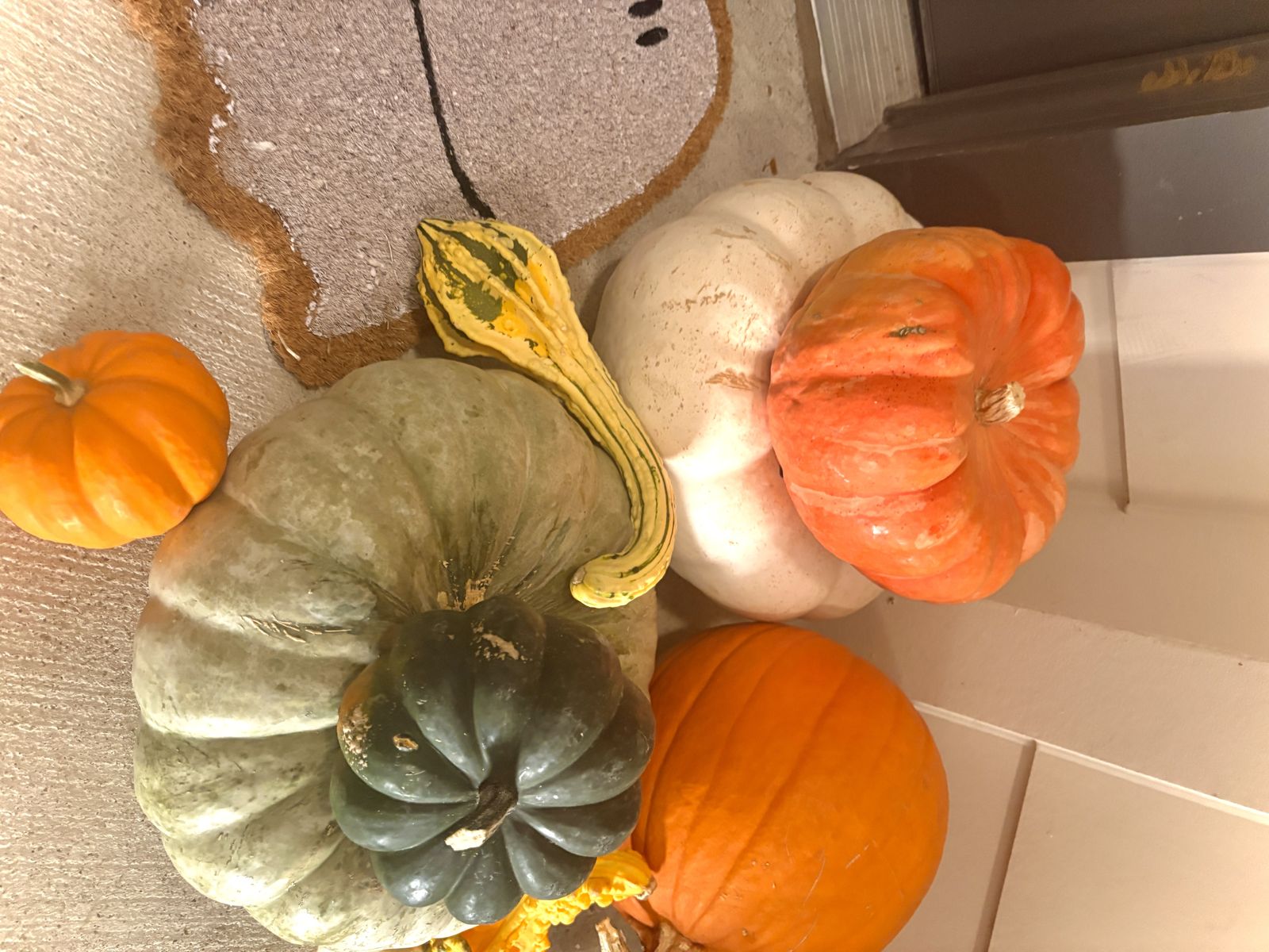 Detail of a fairytale pumpkin, white pumpkin, and warty gourd stacked together