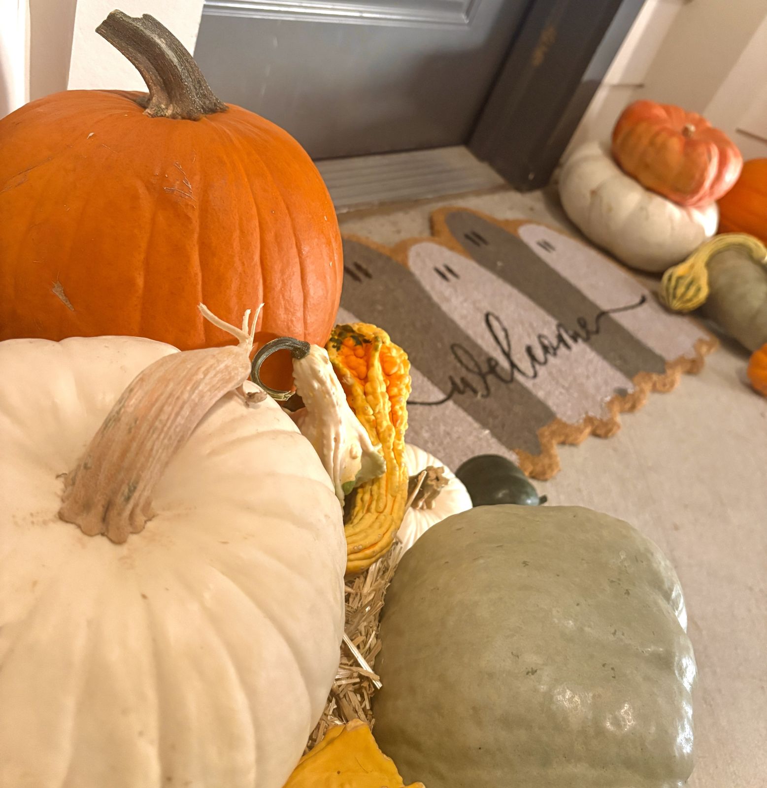Close detail of a white pumpkin, orange jack-o'-lantern pumpkin, and sage-green hubbard on hay