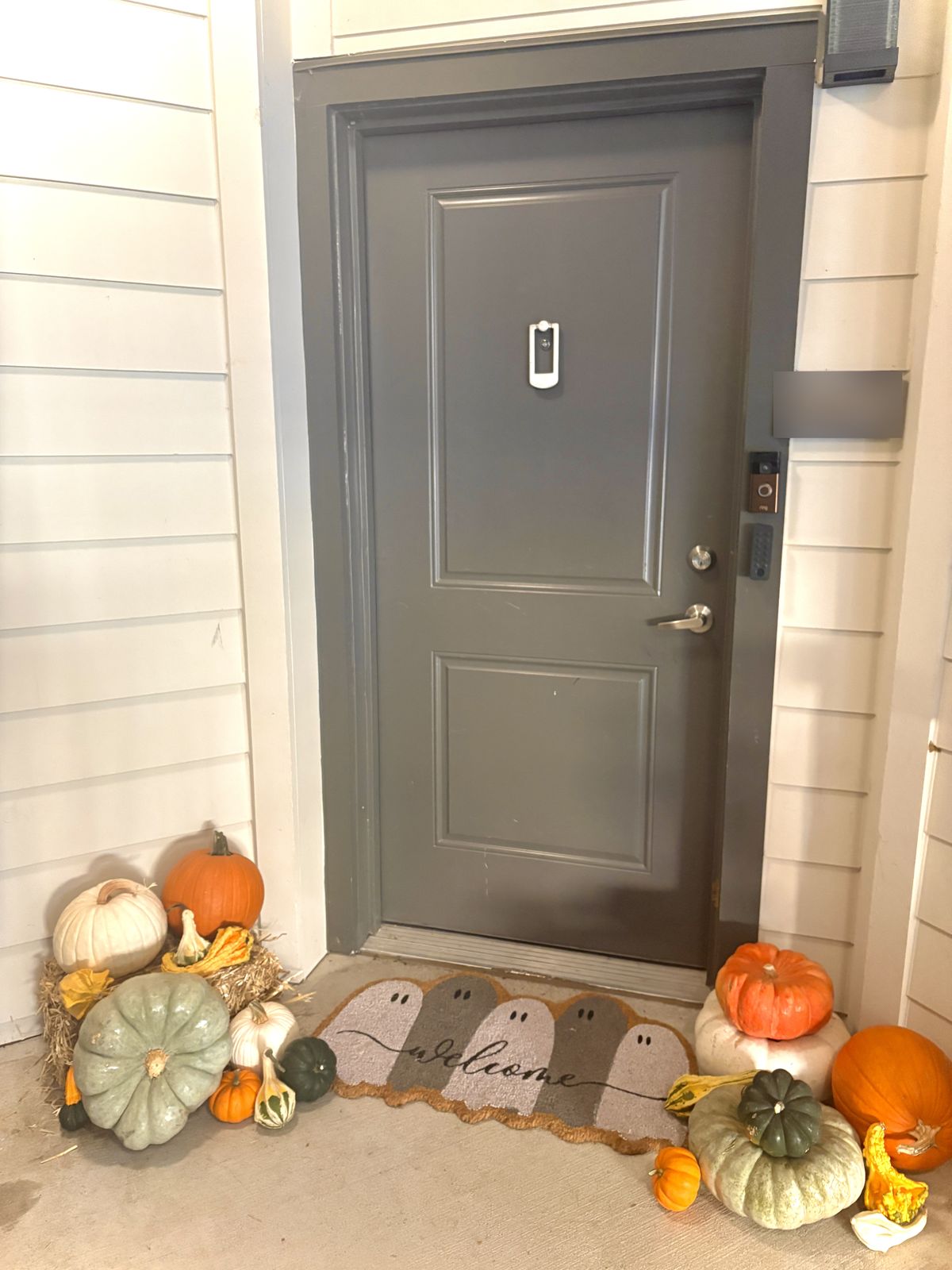 Porch install with heirloom pumpkins, white pumpkins, and gourds around a gray front door